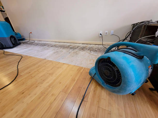 Professional Sewage Cleanup technician working in New Vienna, OH